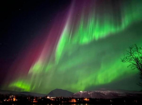 Polar Cozy Apartment - With View and Free parking Tromsø